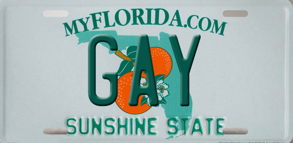Gay License Plate 16